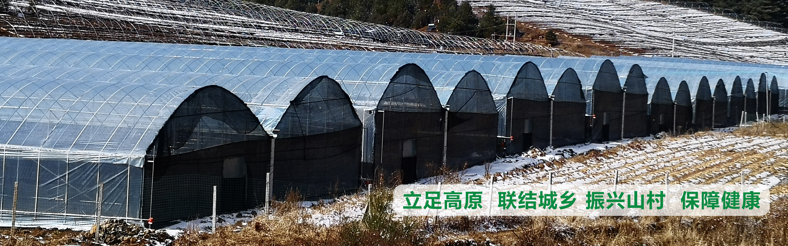 立足高原、聯(lián)結(jié)城鄉(xiāng)、振興山村、保障健康